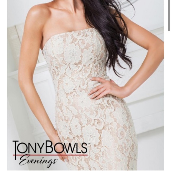 Tony Bowls Lace Mermaid Dress Size 14 - Picture 2 of 4